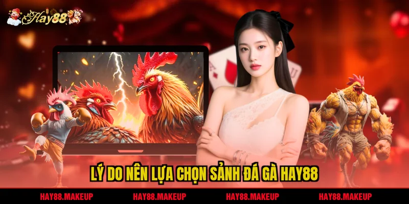 Lý do nên lựa chọn sảnh Đá gà HAY88